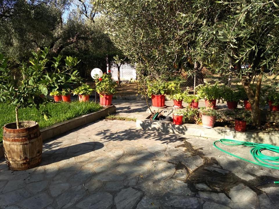 Villa Asimidou Agia Paraskevi  Экстерьер фото