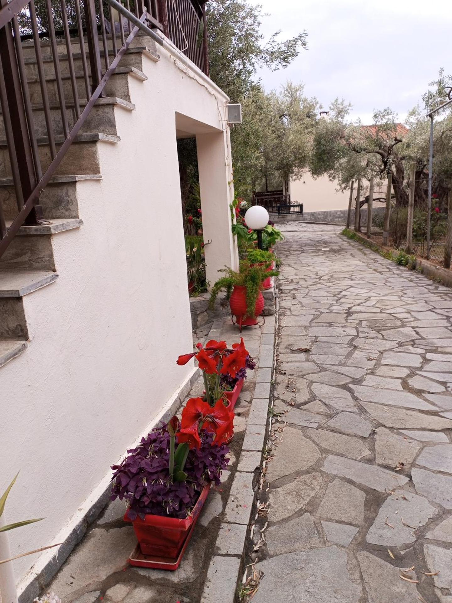 Villa Asimidou Agia Paraskevi  Экстерьер фото
