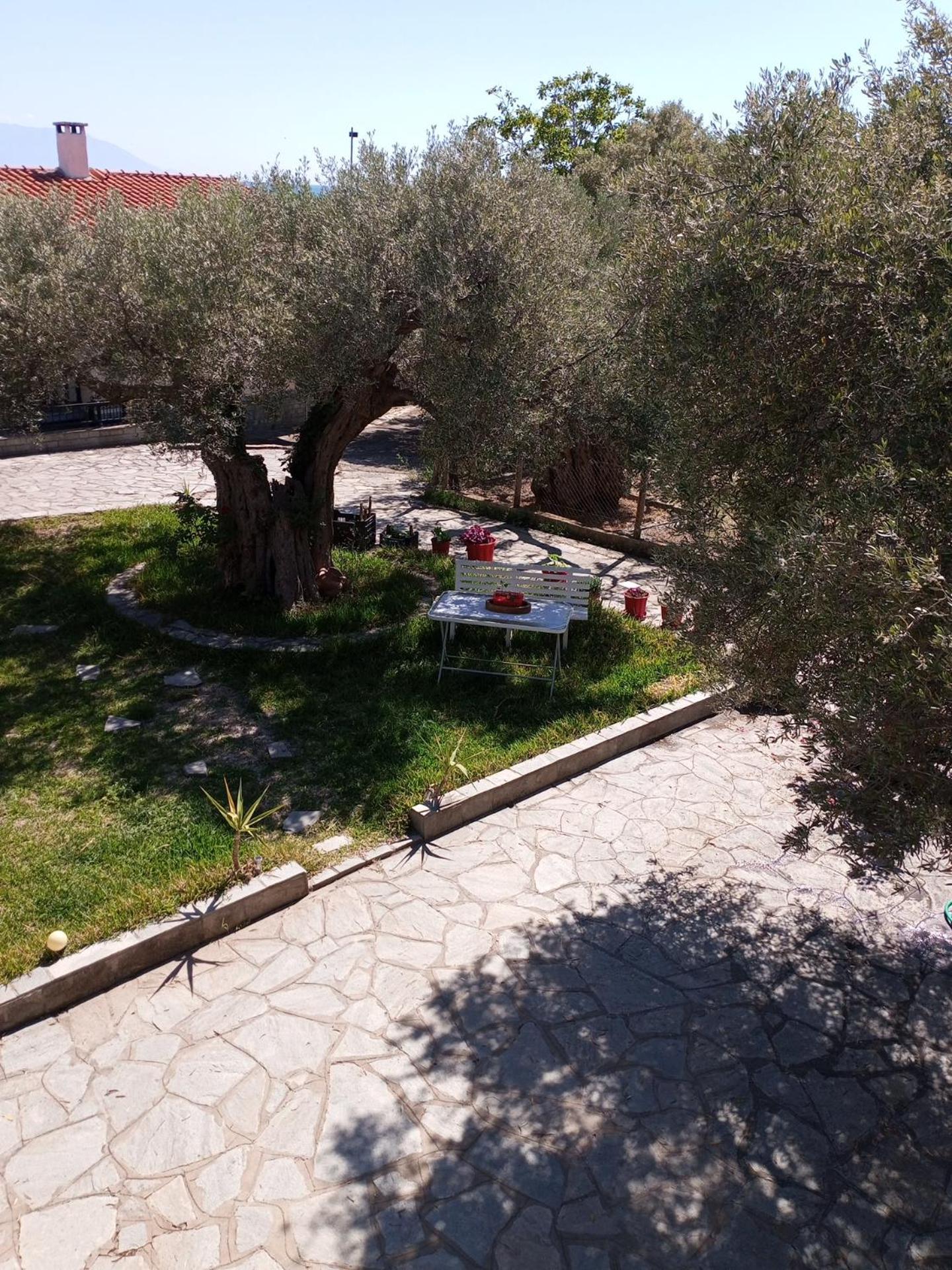 Villa Asimidou Agia Paraskevi  Экстерьер фото